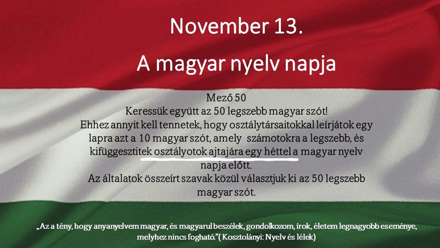 Magyar nyelv